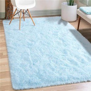 Soft Modern Area Rug Home Decorative, Non-Slip Plush Fluffy 3x5 Feet, Baby Blue